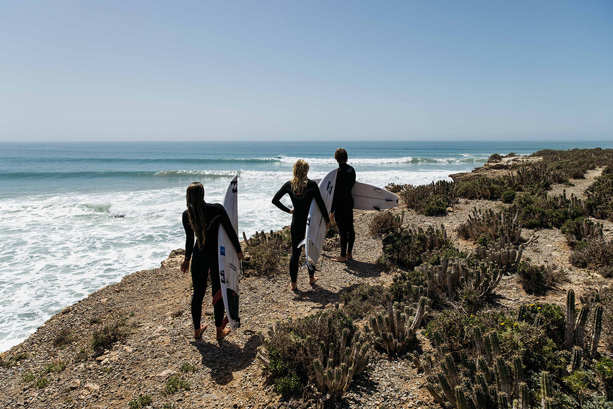 Southbird Surf Shop - Le plus grand choix de wetsuits au Québec